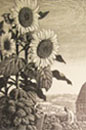 A wood engraving by C.E Tunnicliffe